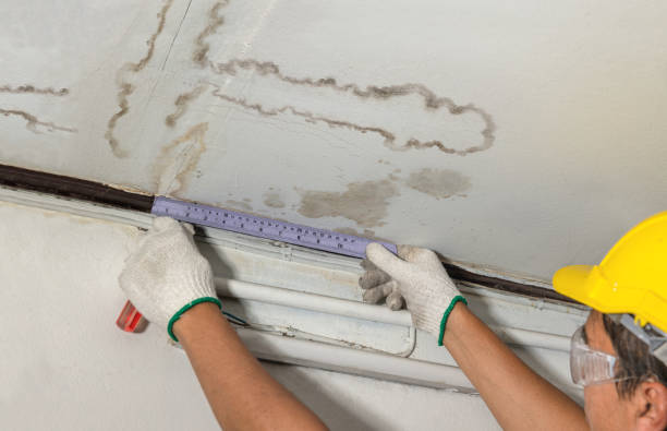 Reliable Mold Remediation contractor in Newton, NH by Local Water Damage Repair